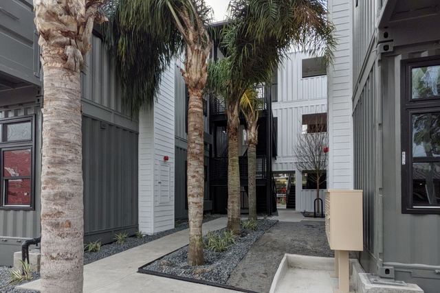 Palm courtyard between the buildings